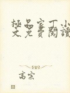 极品家丁小说全文免费阅读封面