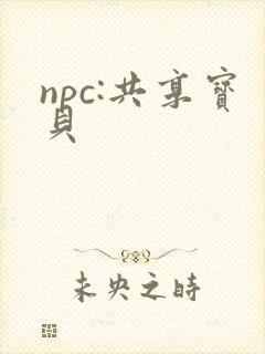 npc:共享宝贝
