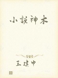 小说神木