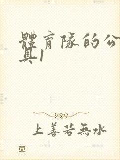 体育队的公用玩具1