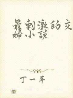 最刺激的交换夫妇小说