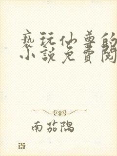 亵玩仙尊的道侣小说免费阅读