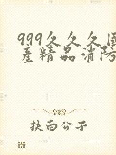 999久久久国产精品消防器材