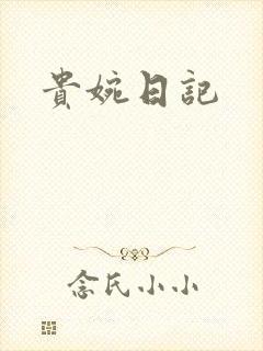 贵婉日记封面