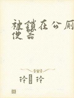 被锁在公厕当坐便器封面