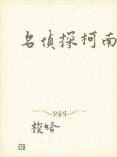 名侦探柯南h封面