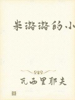 米璐璐的小说