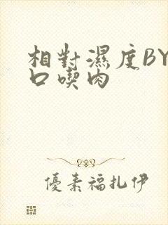 相对湿度BY大口吃肉