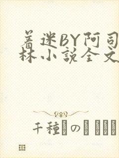 着迷BY阿司匹林小说全文免费阅读