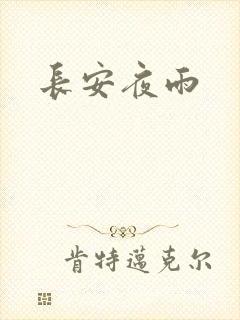 长安夜雨