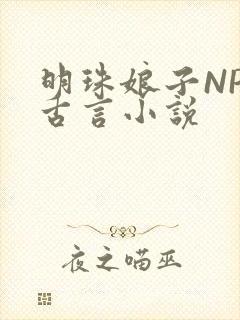 明珠娘子NPC古言小说