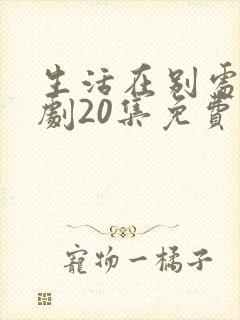 生活在别处电视剧20集免费观看