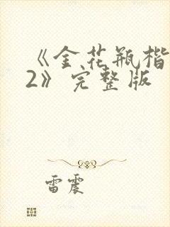 《金花瓶楷梅花2》完整版