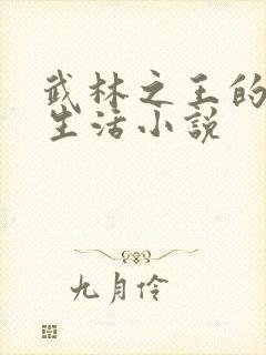 武林之王的退隐生活小说