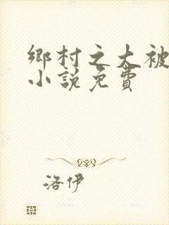 乡村之大被同眠小说免费