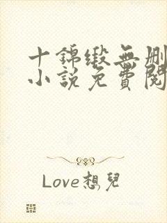 十锦缎无删原著小说免费阅读封面