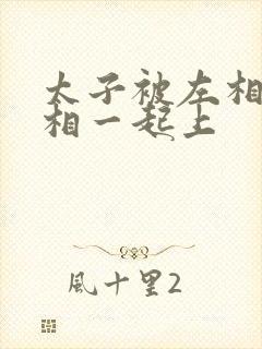 太子被左相和右相一起上