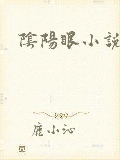 阴阳眼小说