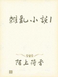 杂乱小说1