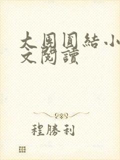 大团圆结小茹全文阅读