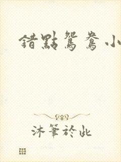 错点鸳鸯小说封面