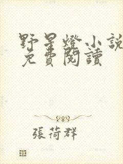 野星灯小说全文免费阅读