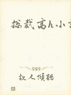 总裁高h小说封面