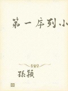 第一序列小说