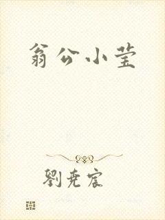 翁公小莹