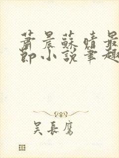 萧晨苏晴最新章节小说笔趣阁