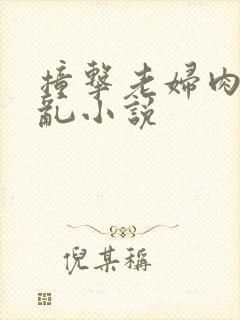 撞击老妇肉体之乱小说封面