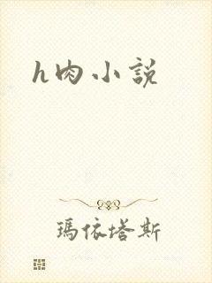 h肉小说
