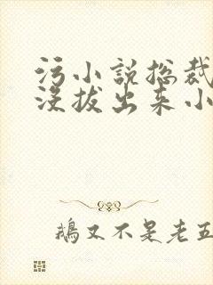 污小说总裁整夜没拔出来小说在线阅读