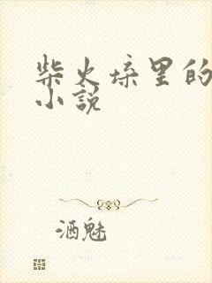 柴火垛里的疯狂小说