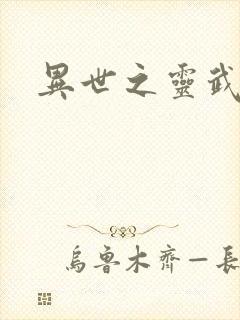 异世之灵武天下