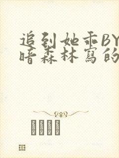 追到她乖BY黑暗森林写的小说封面