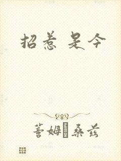 招惹 是今