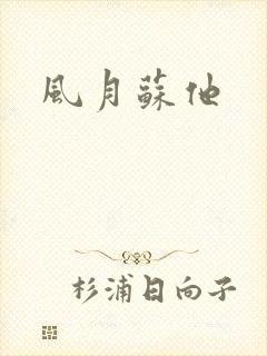 风月苏他封面
