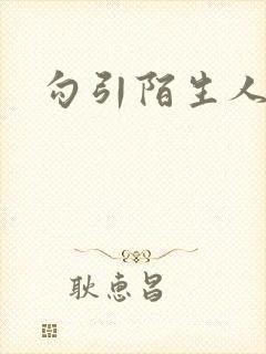 勾引陌生人封面