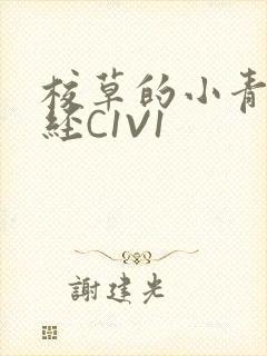 校草的小青梅不经C1V1