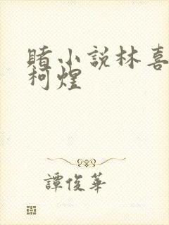 赌小说林喜朝和柯煜