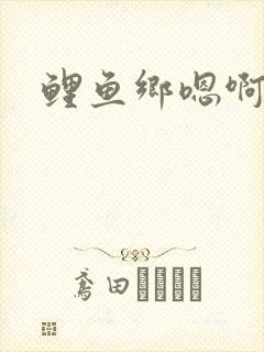 鲤鱼乡嗯啊