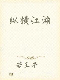 纵横江湖封面