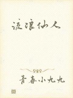 流浪仙人封面