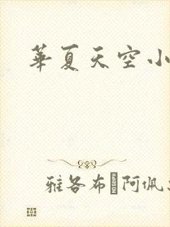 华夏天空小说网封面