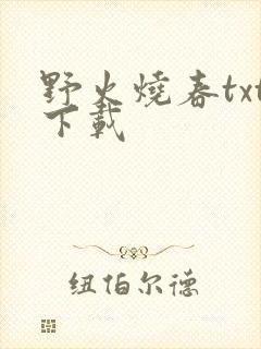 野火烧春txt下载封面