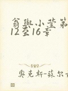 翁与小莹第十部12至16章