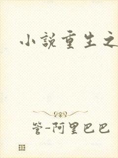 小说重生之官道