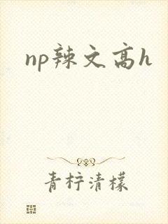 np辣文高h封面