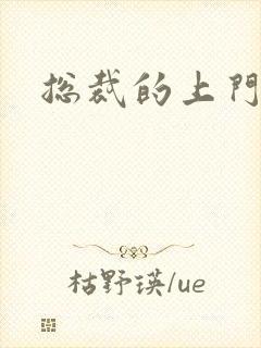 总裁的上门女婿封面